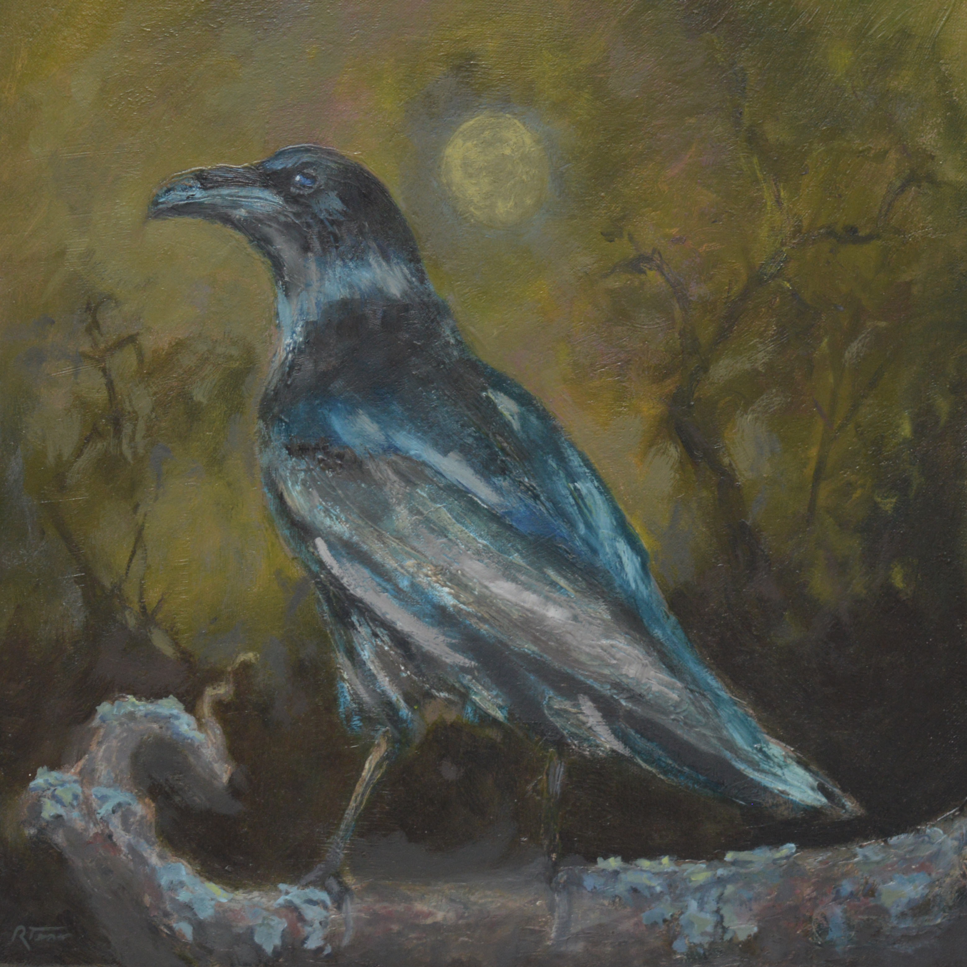 Night Scavenger
