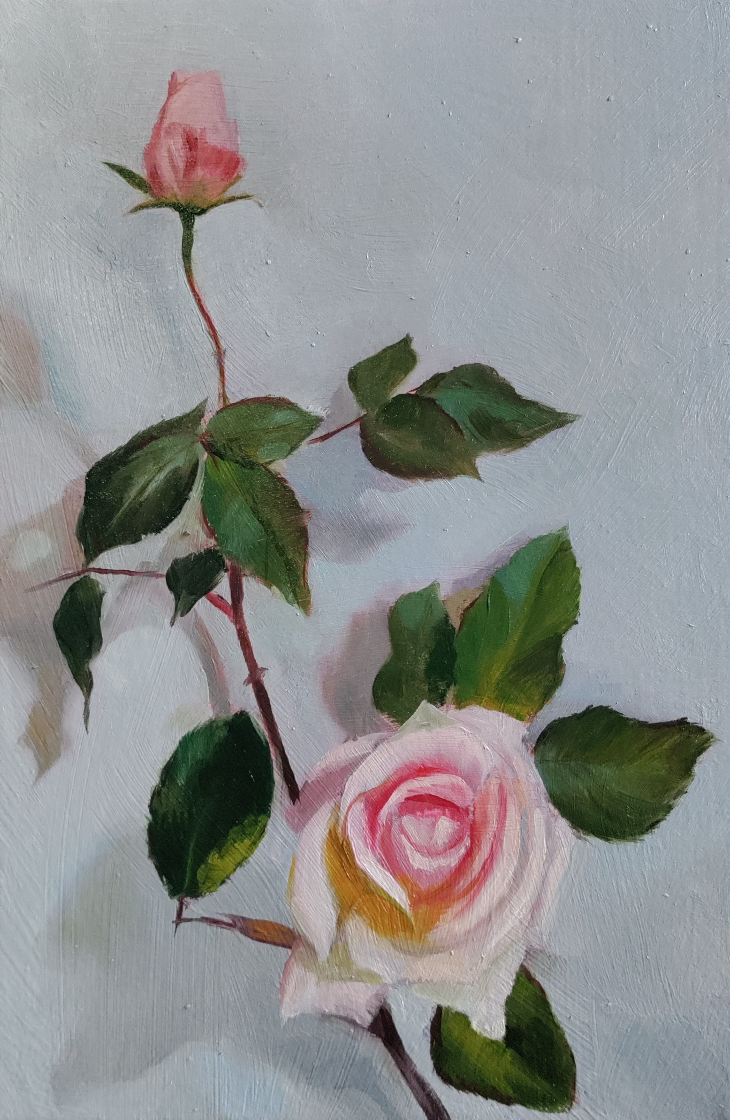 Winter Rose